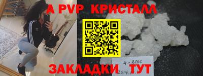 стаф Кингисепп