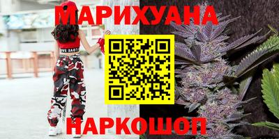 стаф Кингисепп