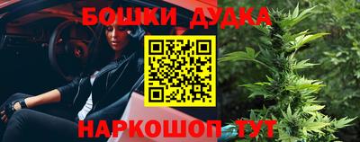стаф Кингисепп