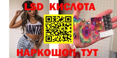 стаф Кингисепп