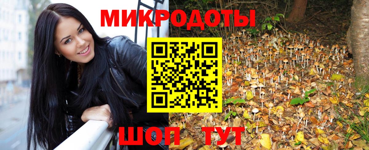 Унеча  Галлюциногенные грибы Cubensis  Вход с VPN 